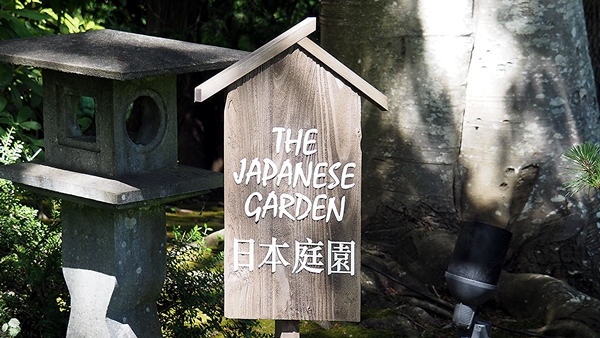 images/240715/P7150253jpg