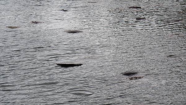 images/P1036244.jpg