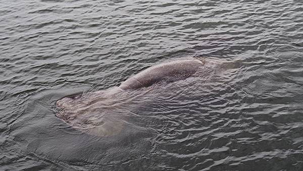 images/P1036247.jpg