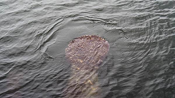 images/P1036249.jpg
