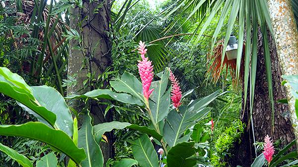 images/260203/P2030326.jpg